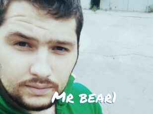 Mr_bear1