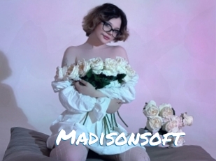 Madisonsoft