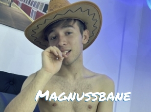 Magnussbane
