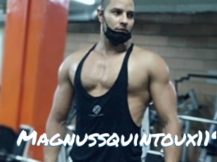Magnussquintoux119