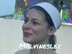 Malvinesley