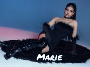 marie Max 50
