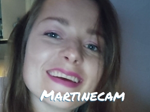 Martinecam