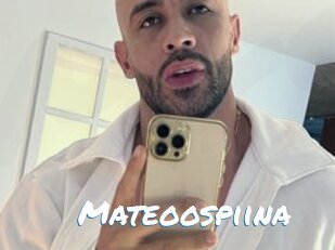 Mateoospiina
