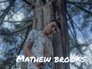 Mathew_brooks