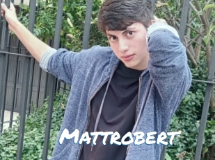 Mattrobert
