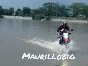 Maurillobig