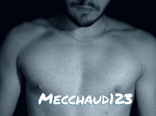 Mecchaud123