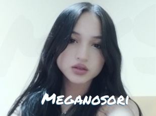 Meganosori