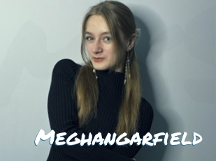 Meghangarfield