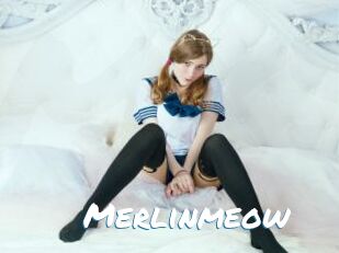 Merlinmeow