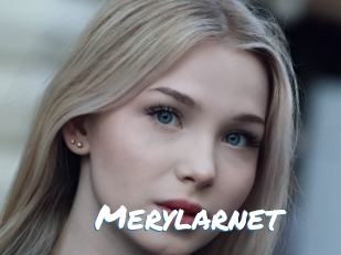 Merylarnet