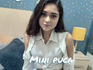 Mini_puca