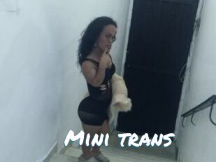 Mini_trans