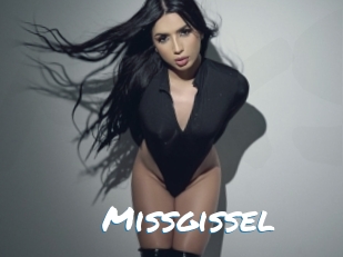 Missgissel