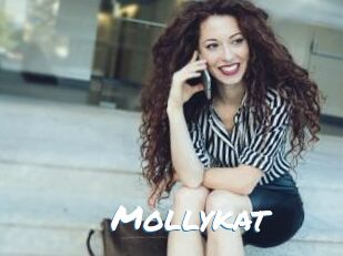 Mollykat