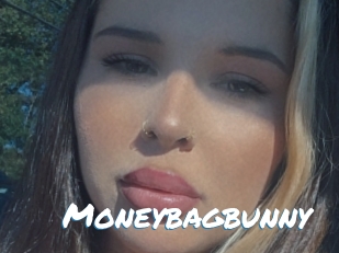 Moneybagbunny