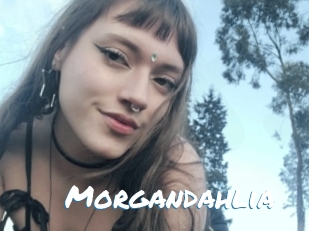 Morgandahlia