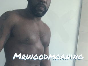 Mrwoodmoaning