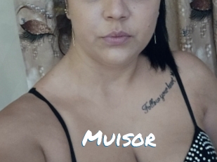 Muisor