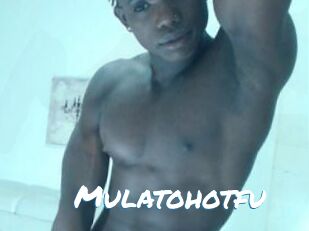Mulatohotfu