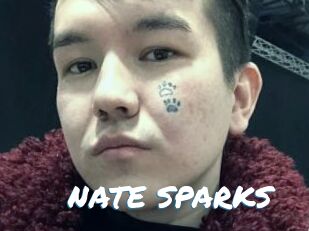 NATE_SPARKS