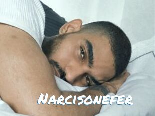 Narcisonefer