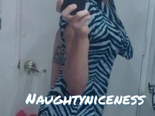 Naughtyniceness
