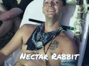 Nectar_Rabbit