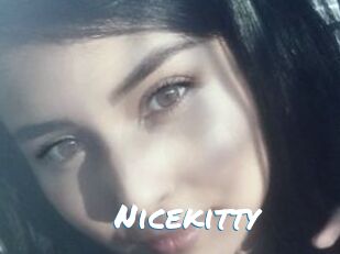 Nicekitty