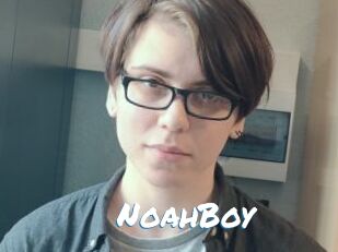 NoahBoy