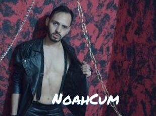 NoahCum