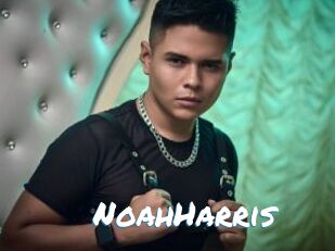 NoahHarris