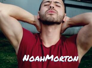 NoahMorton