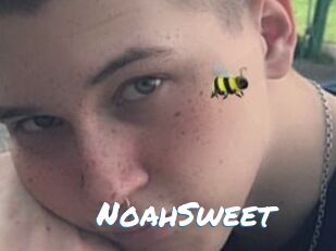 NoahSweet