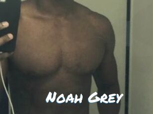 Noah_Grey