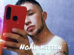 Noah_kitten