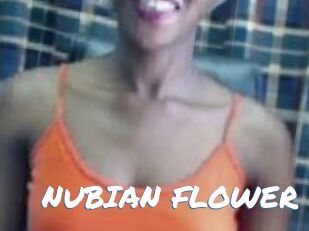 _NUBIAN_FLOWER_