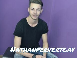 Nathanpervertgay