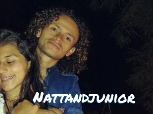 Nattandjunior