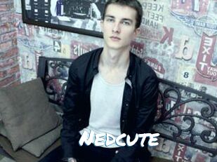 Nedcute