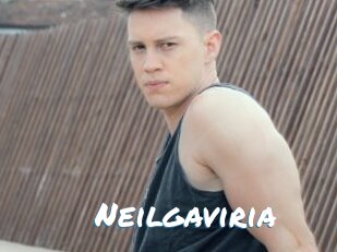 Neilgaviria