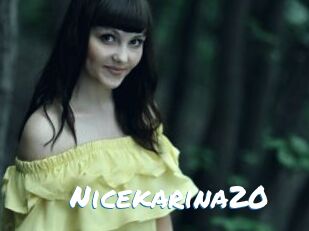 Nicekarina20