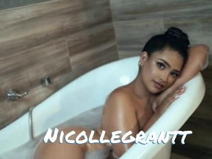 nicollegrantt Max 50