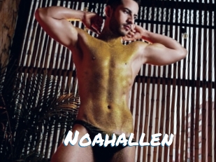Noahallen