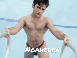 Noaheden