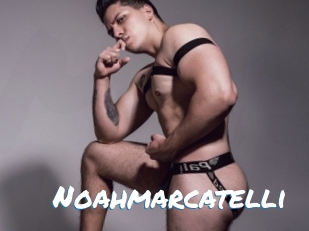 noahmarcatelli Max 50