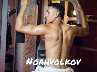 noahvolkov Max 50