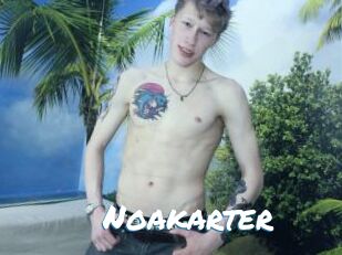 Noakarter