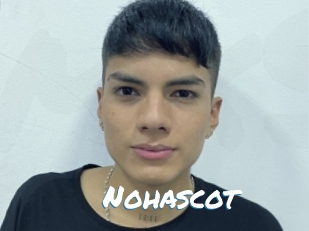 nohascot Max 50